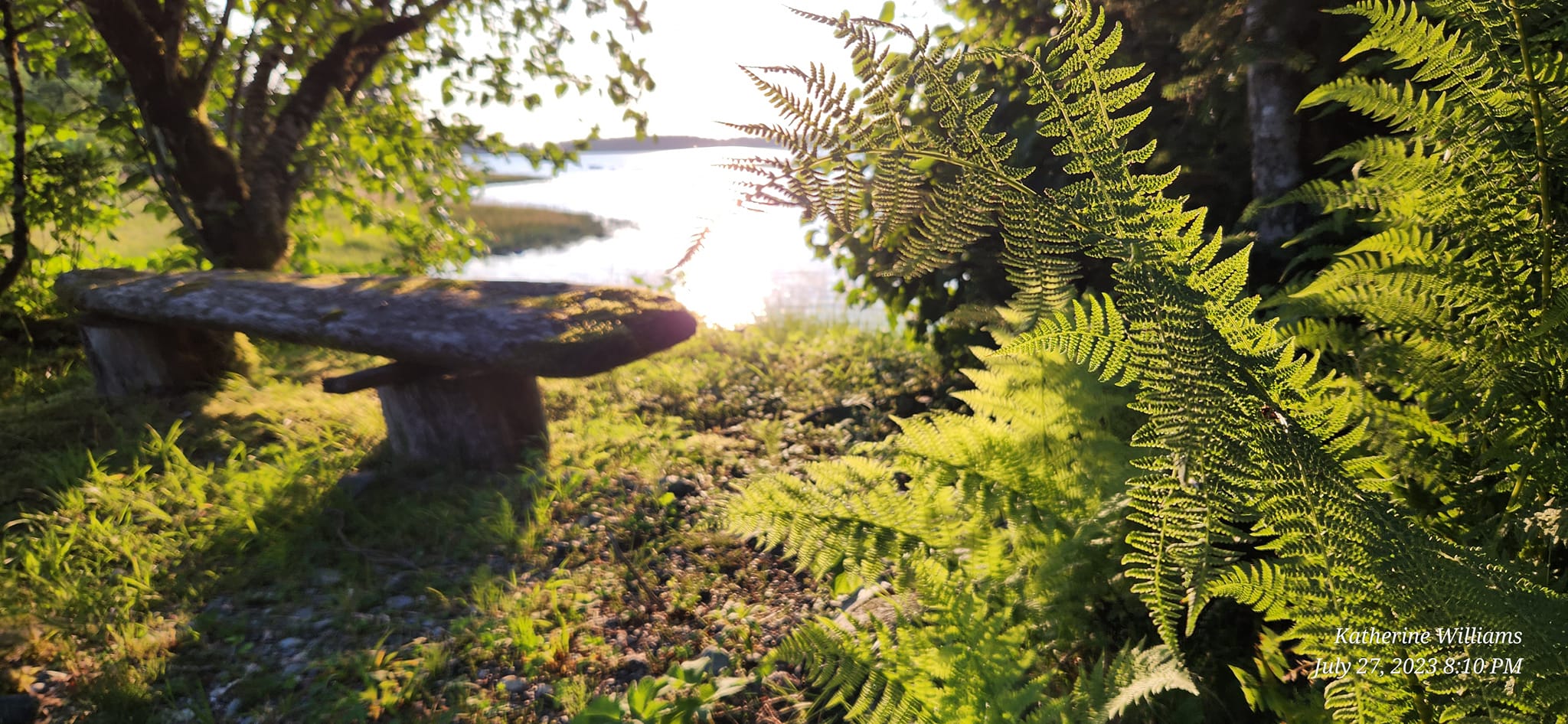 Yakutat Web Design 1